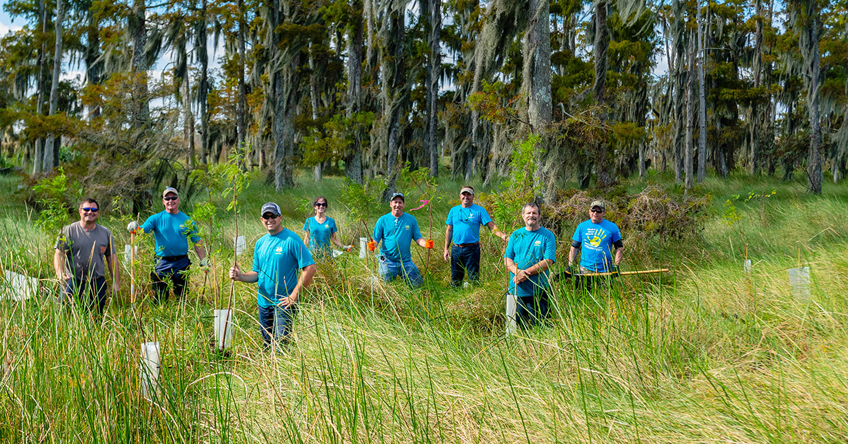 Valero St. Charles volunteers plant trees in swamp