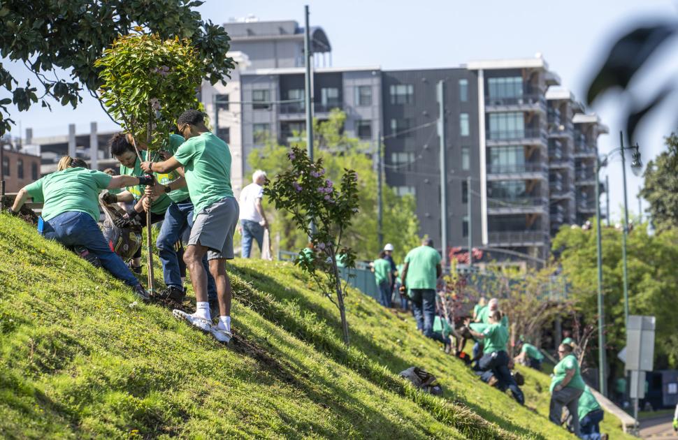 Volunteers plant trees during Earth Day