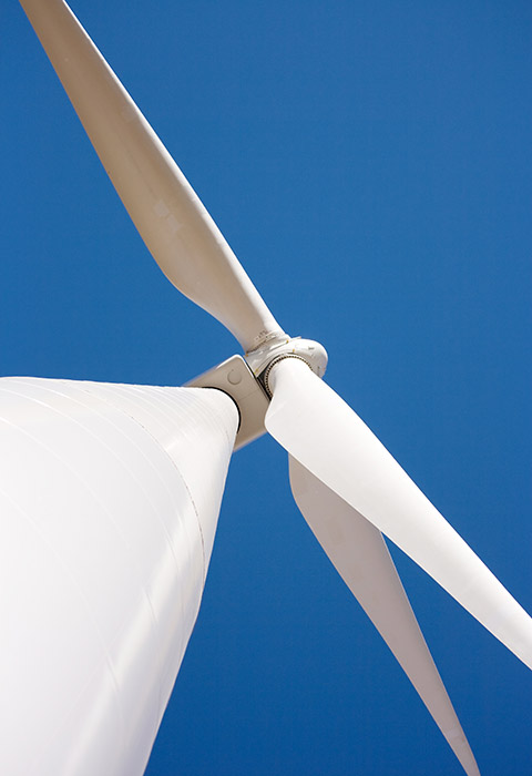 We are committed stewards of the environment 