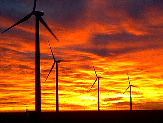 Wind Farm at Dusk
