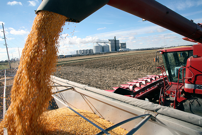 Loading corn at Valero Bloomingburg Ethanol Plant