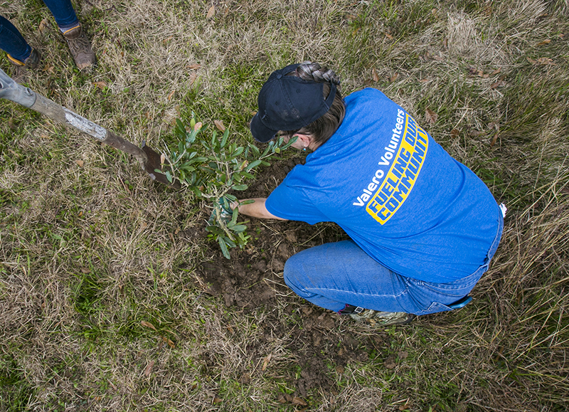 Texas City_Volunteer_Tree Planting_380x275
