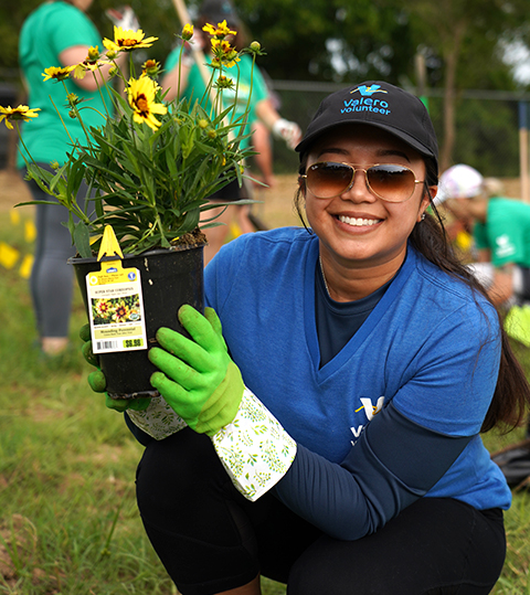 Ardmore_butterfly_volunteer