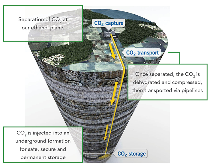 Carbon capture, transportation, and storage infographic