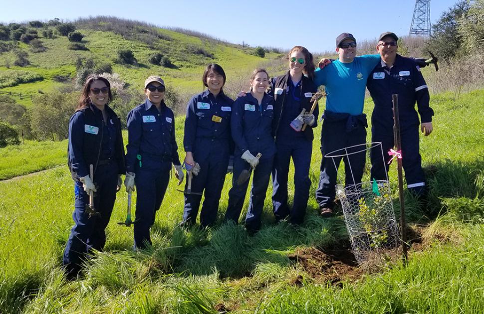 Volunteer group planting tree