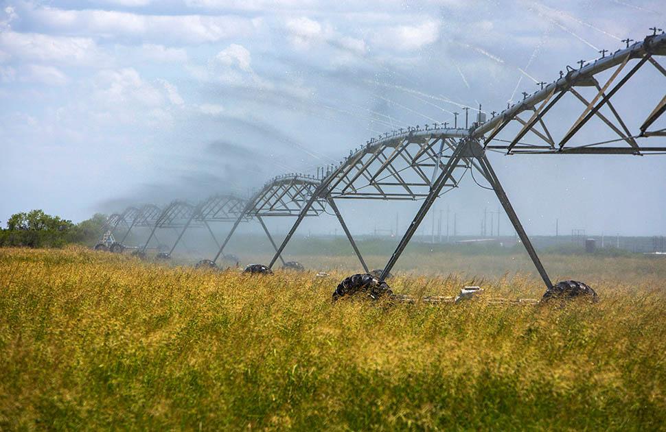 three rivers refinery watering grain