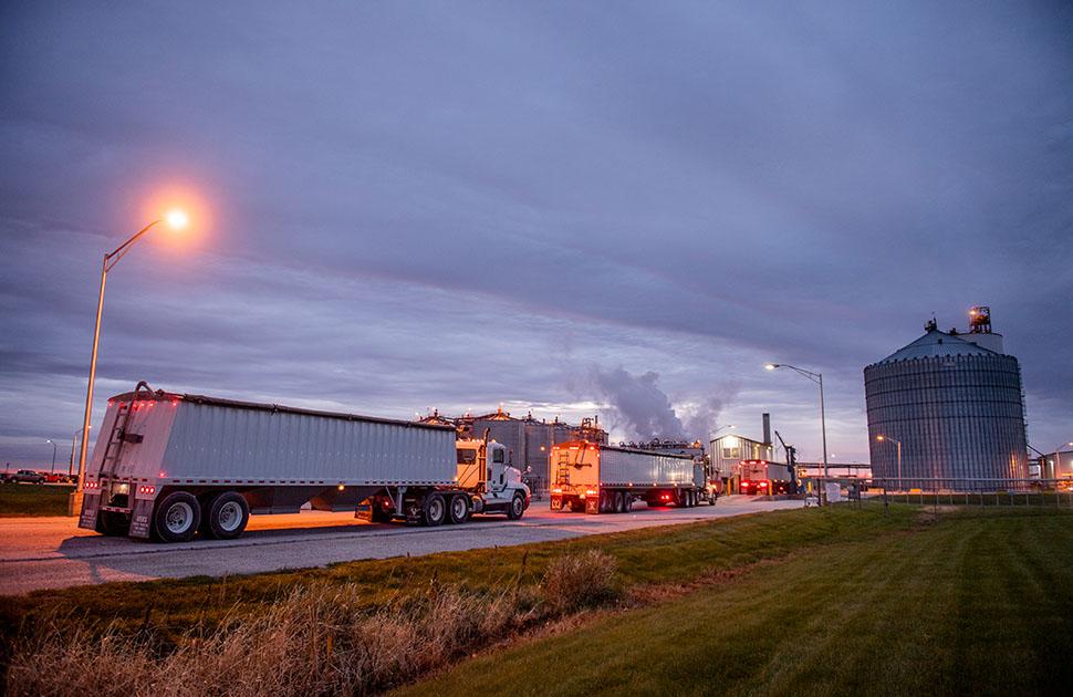 Fort Dodge Plant