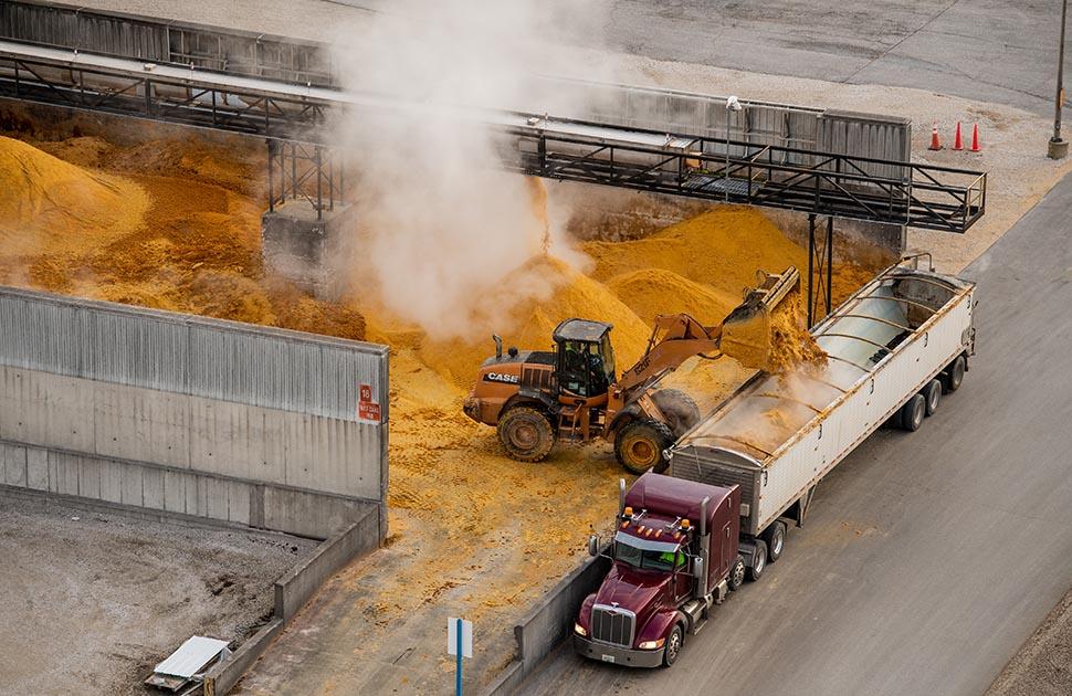 Fort Dodge Plant