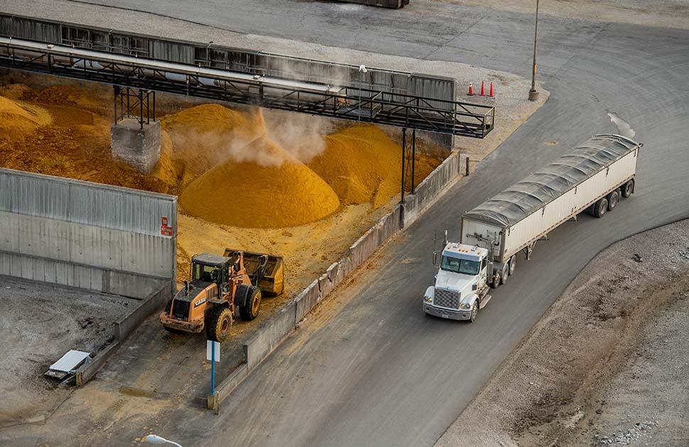 Fort Dodge Plant