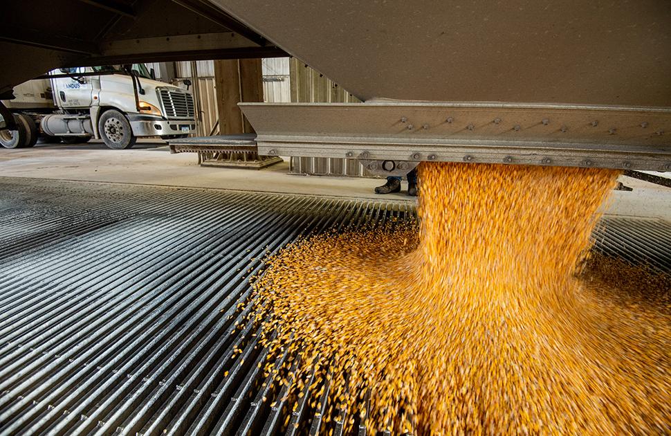 Unloading corn at Valero Albert City Ethanol Plant