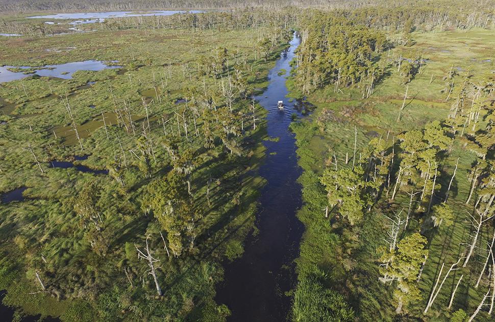 Swamp near St. Charles refinery