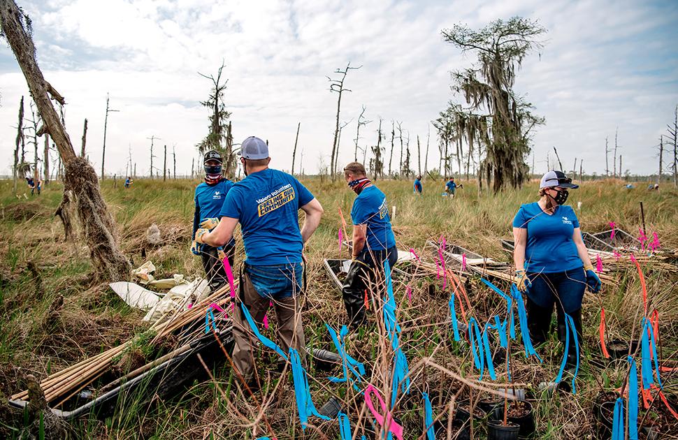 St. Charles volunteers tree planting