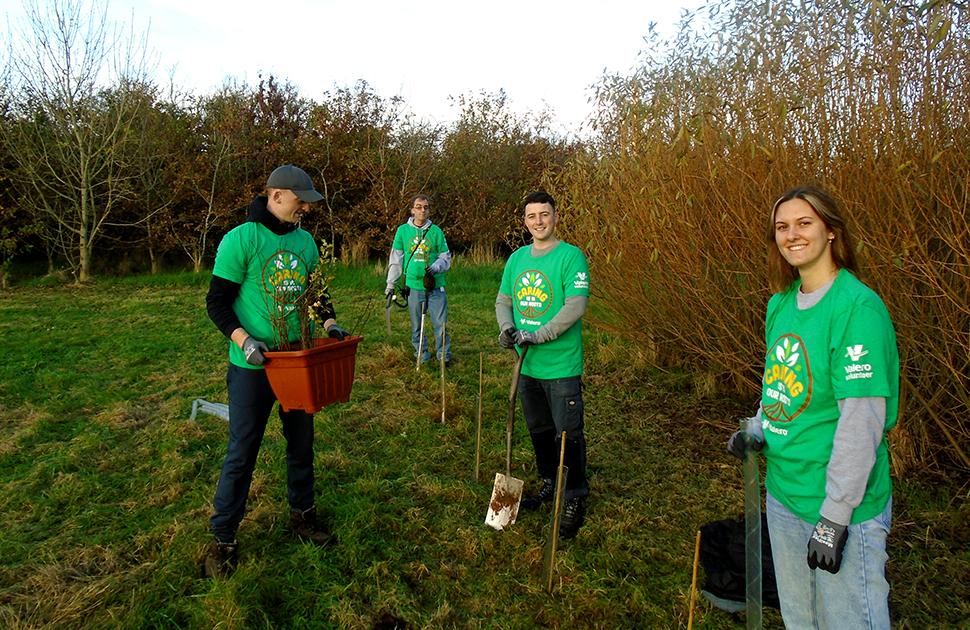 Pembroke_tree_planting_volunteers