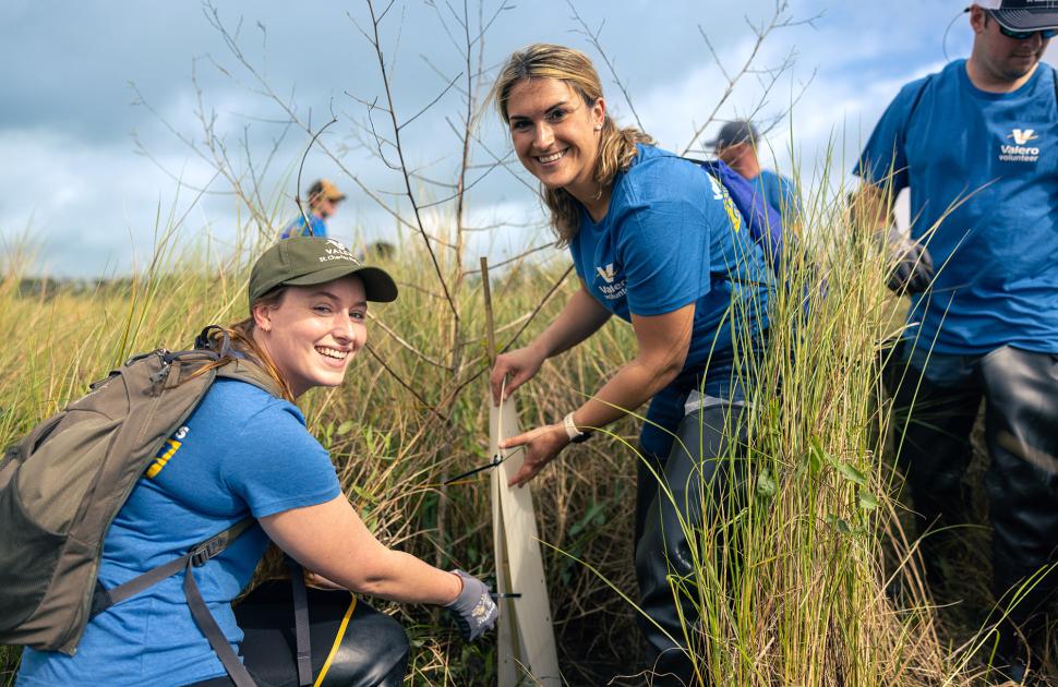 Volunteers at the LaBranche Wetlands