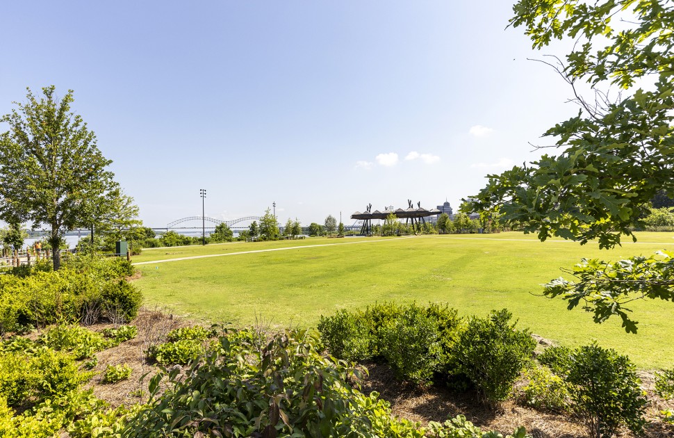Tom Lee Park Beauty Shot