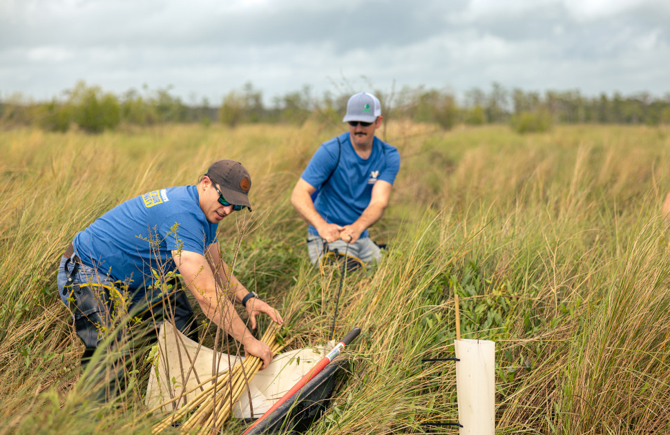 Valero Volunteers planting trees