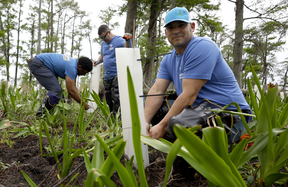 St. Charles Volunteers Tree Planting