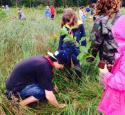 planting trees