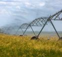 three rivers refinery watering grain