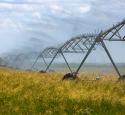 three rivers refinery watering grain