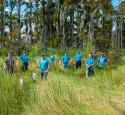Valero volunteers plant trees in Louisiana Swamp