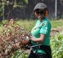 Woman clears brush as part of Earth Day project