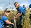 Volunteers at the LaBranche Wetlands