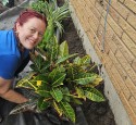 Three Rivers Volunteer