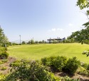 Tom Lee Park Beauty Shot