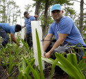 St. Charles Volunteers Tree Planting