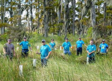 Restoring Critical Wetlands