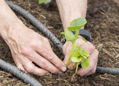 Find A Gas Station Near You Valero