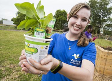 Valero volunteer with plant
