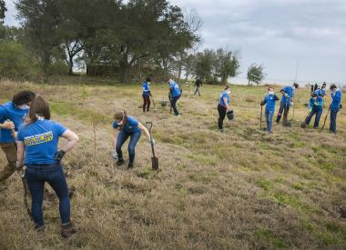 Volunteers plant young tree saplings in an open field.