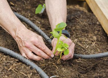 Valero Volunteer Planting