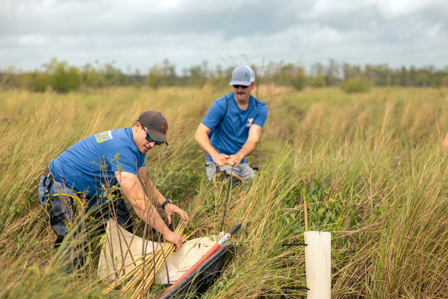 Valero Volunteers planting trees